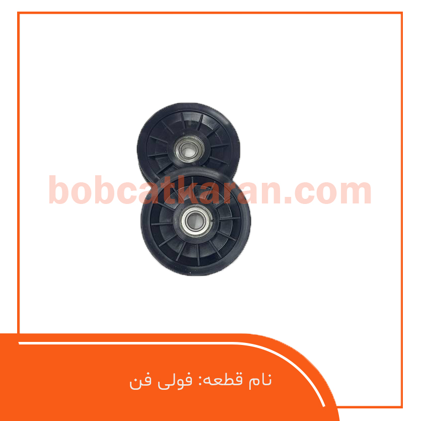 فولی فن